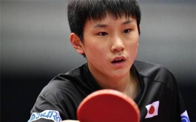 可忽视的 可忽视的