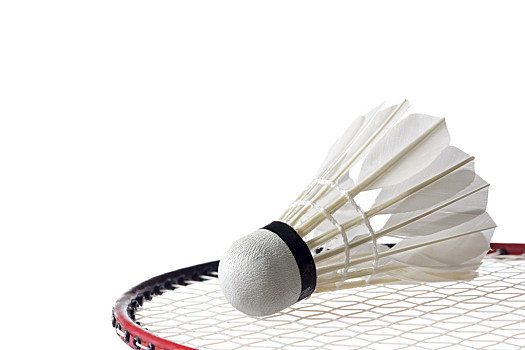 生命之战 生命之战