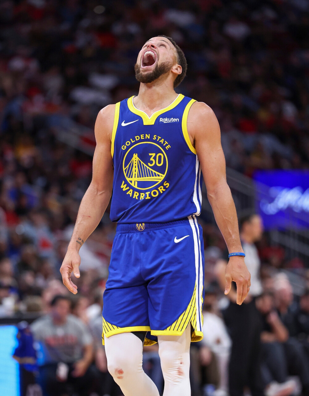 你的图片地 你的图片地